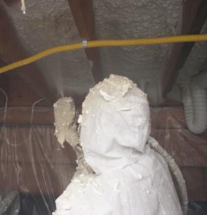 Cape Coral FL crawl space insulation